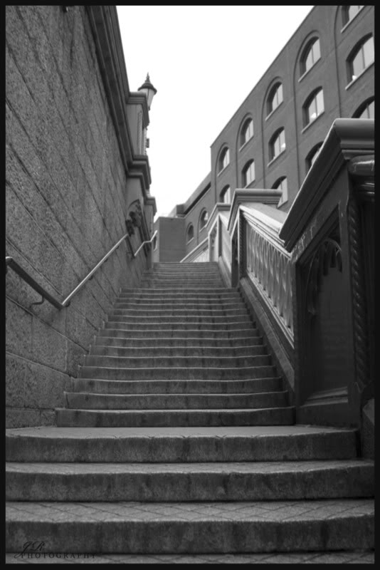 Name: CRW_9957.jpg
Views: 26
Size: 62.1 KB