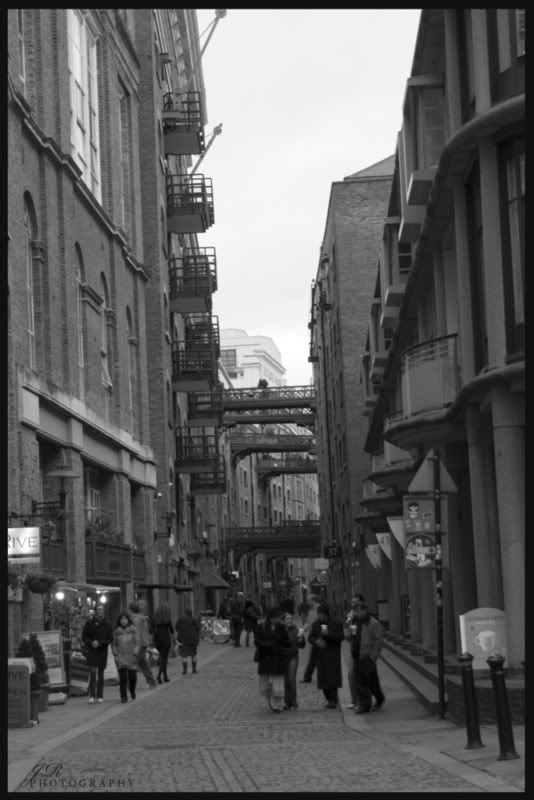 Name: CRW_9970.jpg
Views: 23
Size: 61.4 KB