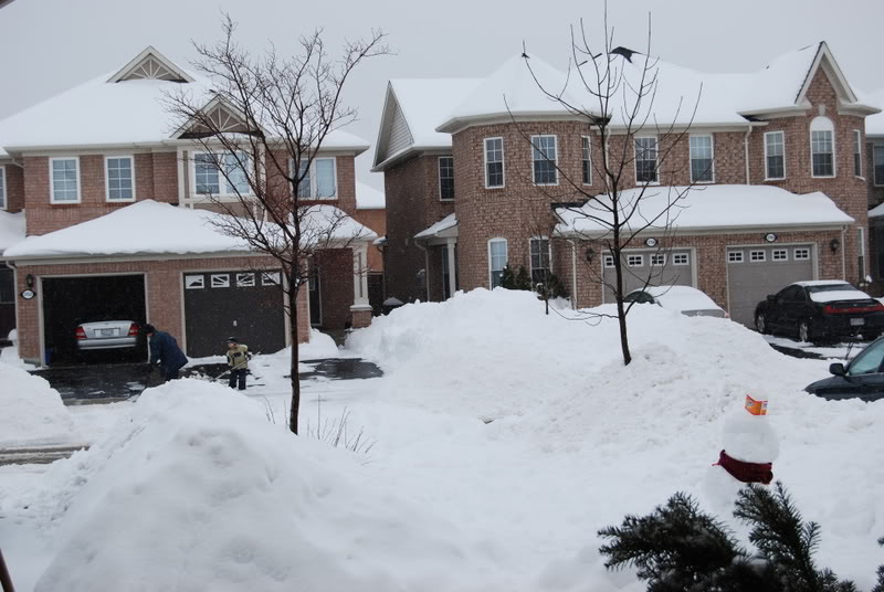 Name:  testnikond40x3.jpg
Views: 17
Size:  112.4 KB