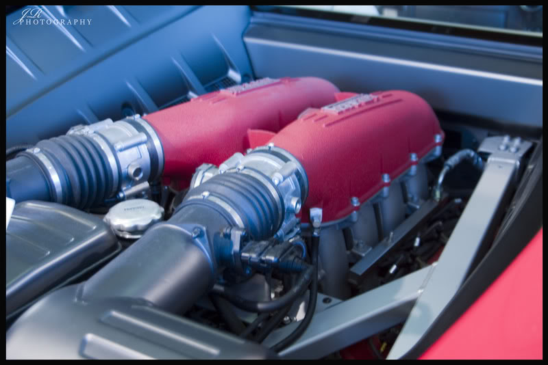 Name:  CRW_0409.jpg
Views: 17
Size:  60.9 KB