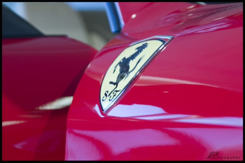 Name:  CRW_0419.jpg
Views: 16
Size:  43.5 KB