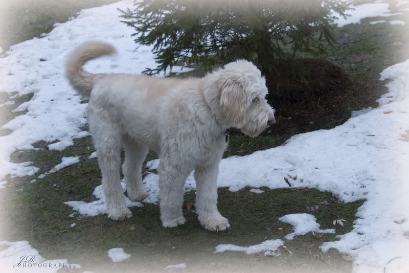 Name: Picture014copy.jpg
Views: 16
Size: 78.0 KB