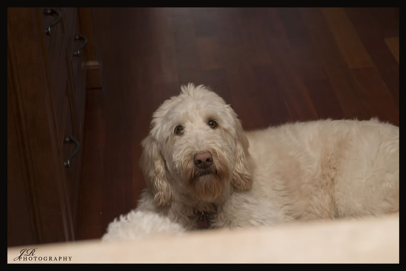 Name: Picture020copy.jpg
Views: 18
Size: 37.0 KB