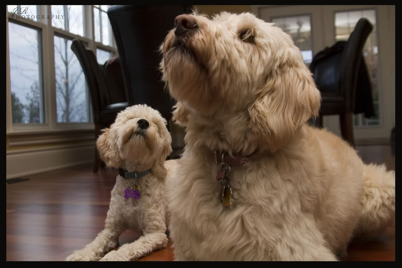 Name: Picture024copy.jpg
Views: 20
Size: 62.9 KB