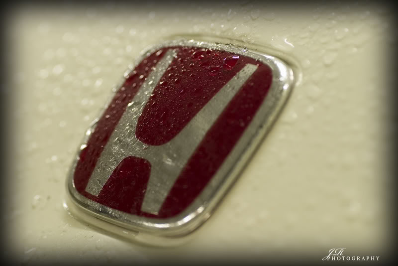 Name:  CRW_9523bcopy.jpg
Views: 22
Size:  46.9 KB