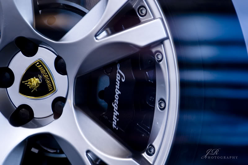 Name:  CRW_9479postW.jpg
Views: 16
Size:  57.5 KB