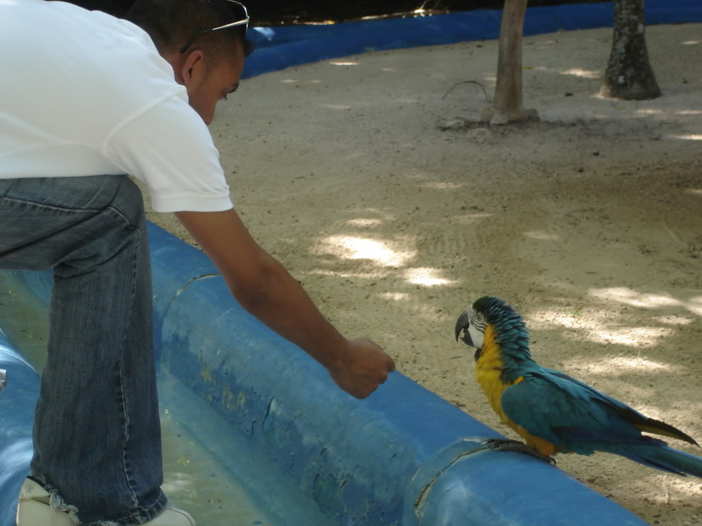 Name:  Picture183.jpg
Views: 17
Size:  86.7 KB