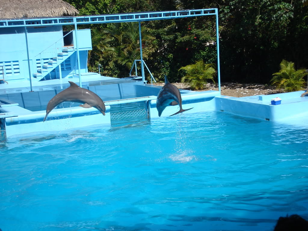 Name:  Picture147.jpg
Views: 17
Size:  170.5 KB