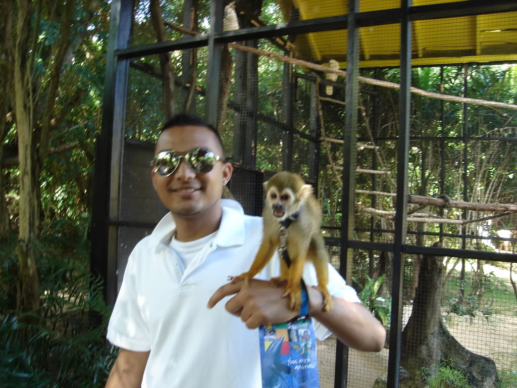 Name:  Picture012-1.jpg
Views: 15
Size:  172.2 KB