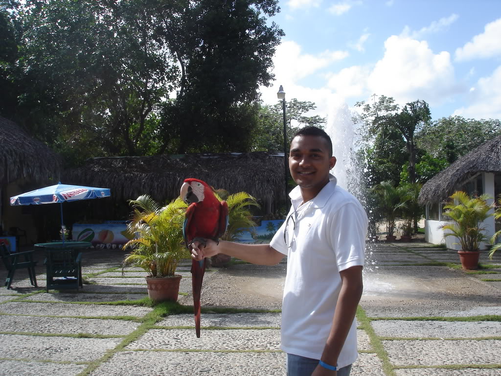 Name:  Picture111.jpg
Views: 17
Size:  231.6 KB