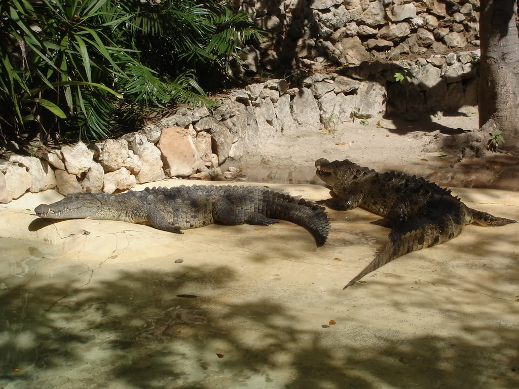 Name:  Picture205.jpg
Views: 18
Size:  194.4 KB