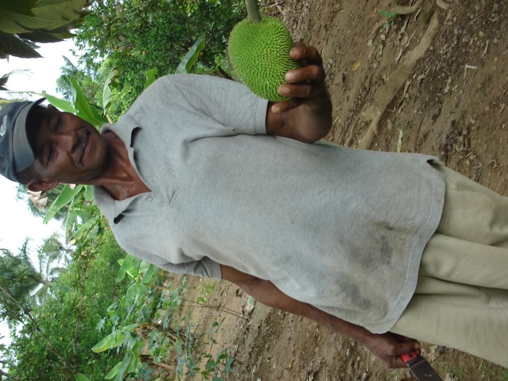 Name:  Picture130.jpg
Views: 19
Size:  159.9 KB