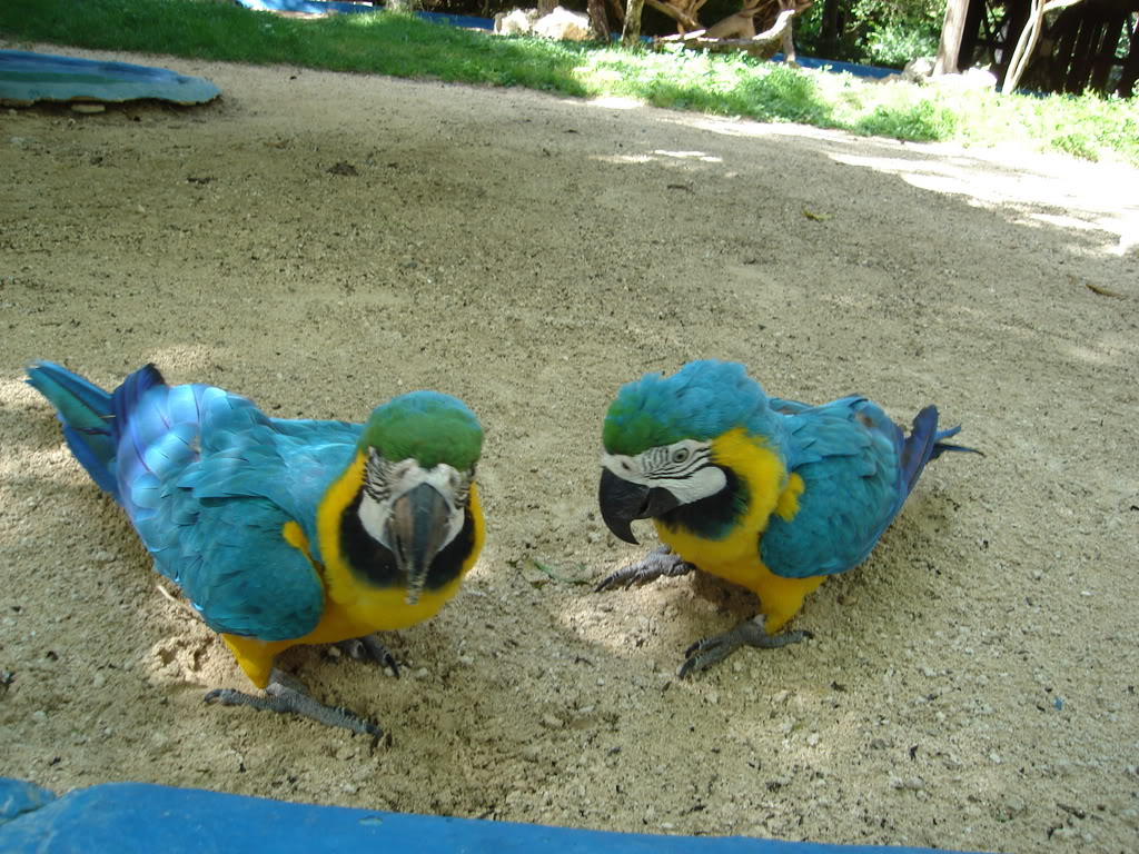 Name:  Picture166.jpg
Views: 15
Size:  208.0 KB