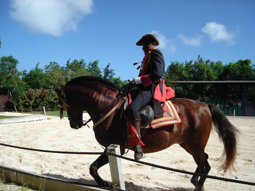 Name:  Picture196.jpg
Views: 17
Size:  168.9 KB