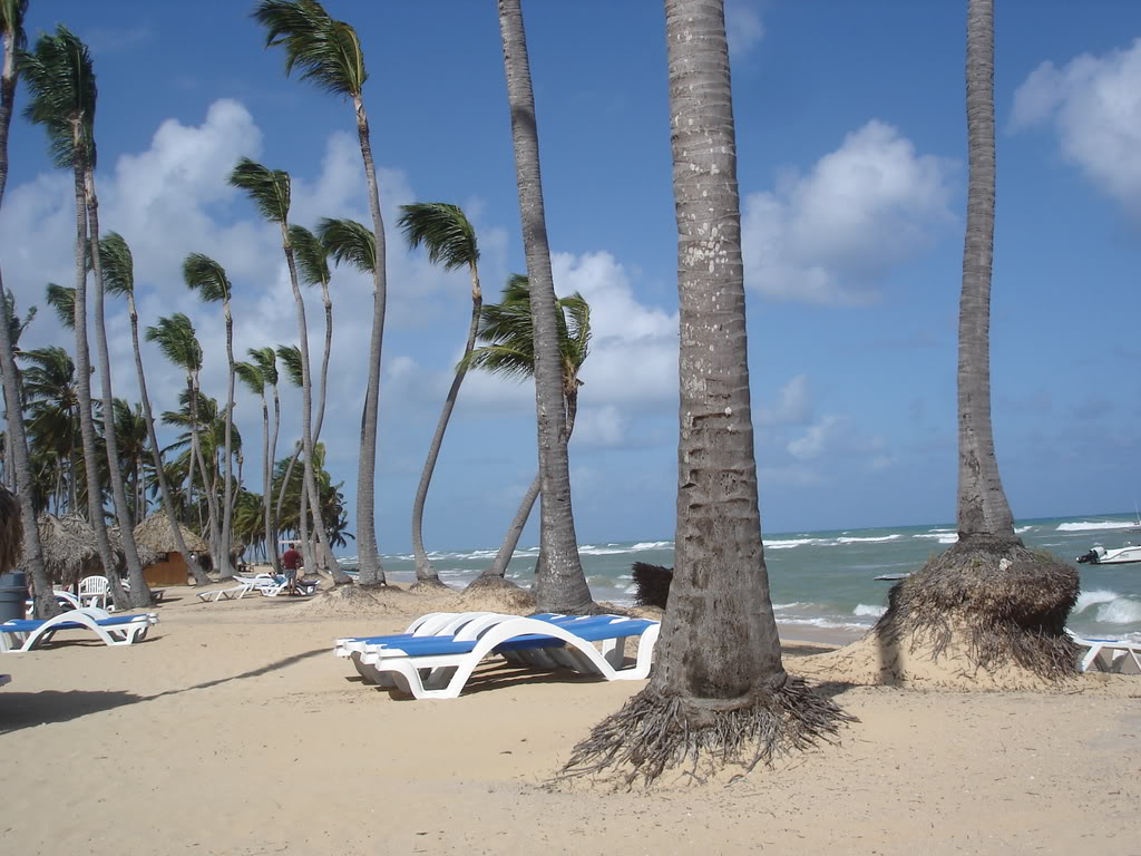 Name:  Picture035.jpg
Views: 22
Size:  143.5 KB