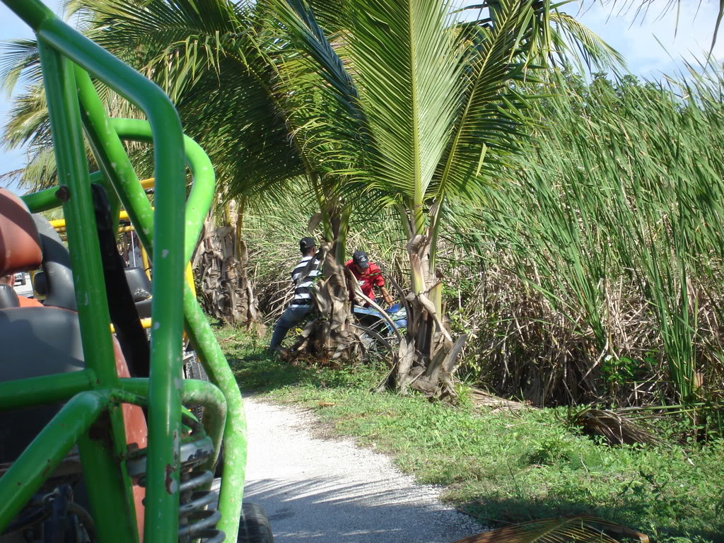 Name:  Picture030-1.jpg
Views: 16
Size:  307.4 KB