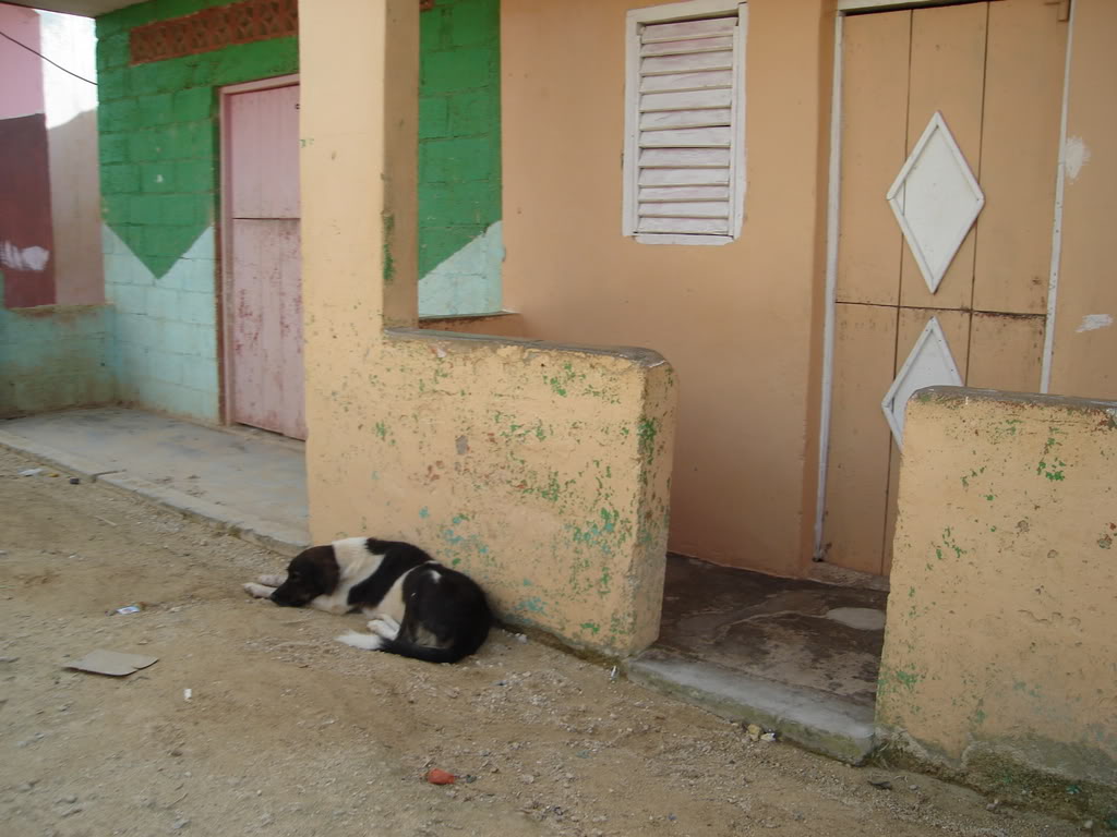 Name:  Picture061.jpg
Views: 18
Size:  106.1 KB