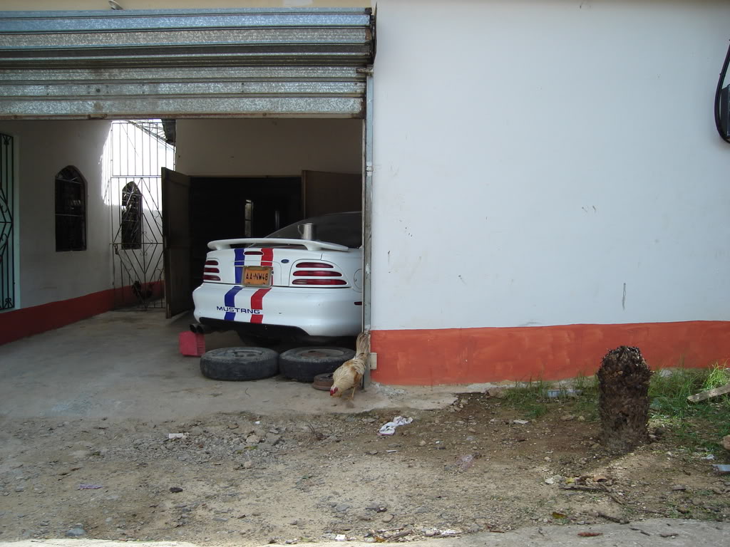 Name:  Picture070.jpg
Views: 19
Size:  138.5 KB