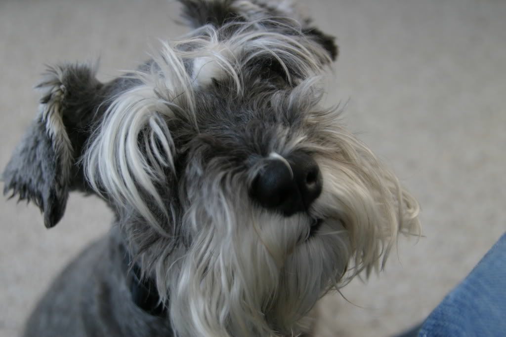 Name: Picture004-1.jpg
Views: 18
Size: 68.1 KB