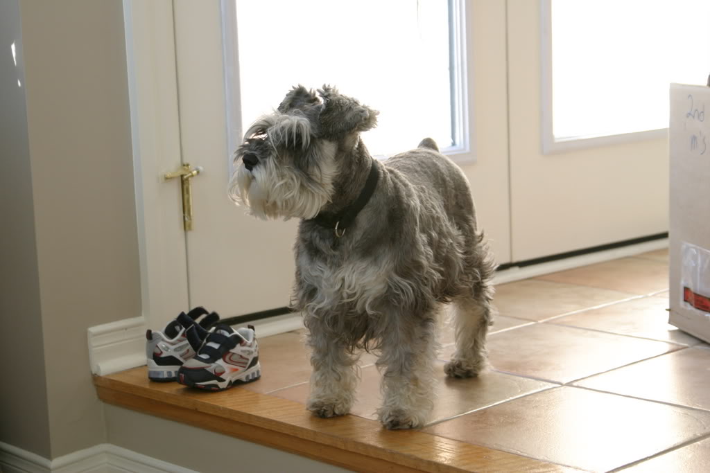 Name: Picture007.jpg
Views: 17
Size: 66.8 KB