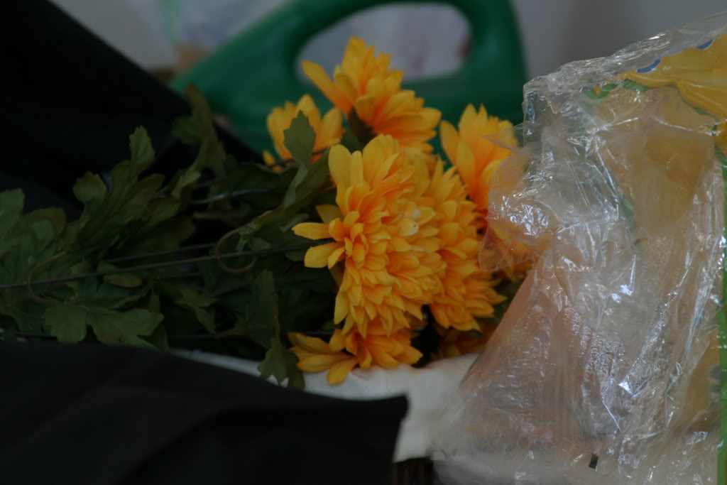 Name: Picture008.jpg
Views: 17
Size: 66.3 KB