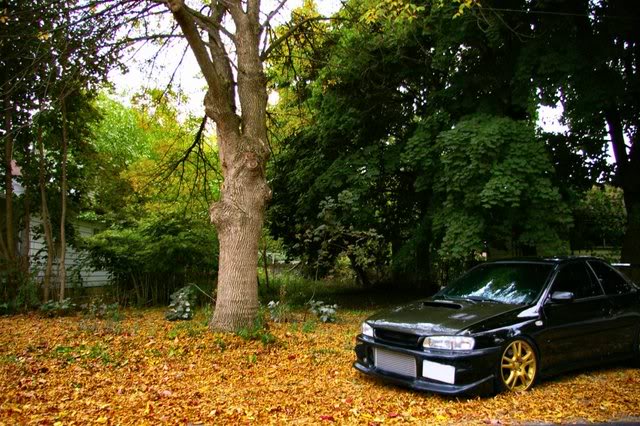 Name:  karl3.jpg
Views: 23
Size:  90.4 KB