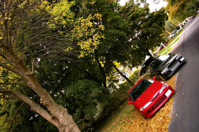 Name:  DK6.jpg
Views: 23
Size:  113.6 KB