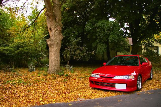 Name:  dave3.jpg
Views: 20
Size:  106.9 KB