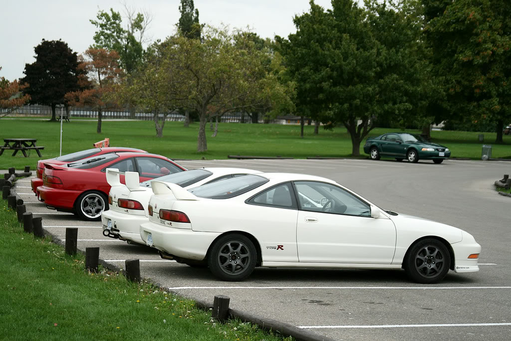 Name:  IMG_3005copy.jpg
Views: 19
Size:  164.2 KB