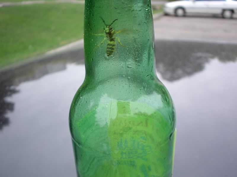 Name:  PDR_2734.jpg
Views: 14
Size:  44.4 KB