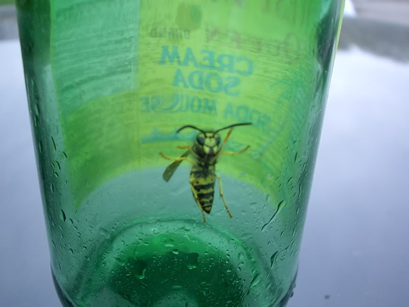 Name:  PDR_2738.jpg
Views: 15
Size:  48.1 KB