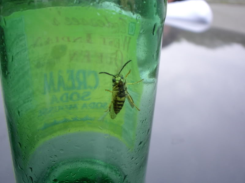 Name:  PDR_2739.jpg
Views: 15
Size:  43.6 KB