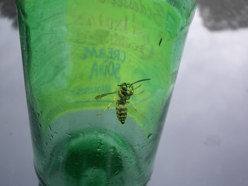 Name:  PDR_2740.jpg
Views: 18
Size:  39.3 KB