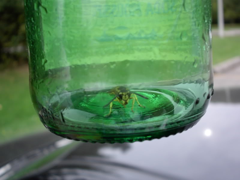 Name:  PDR_2752.jpg
Views: 16
Size:  44.8 KB