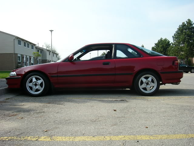 Name:  P1010655.jpg
Views: 12
Size:  68.7 KB