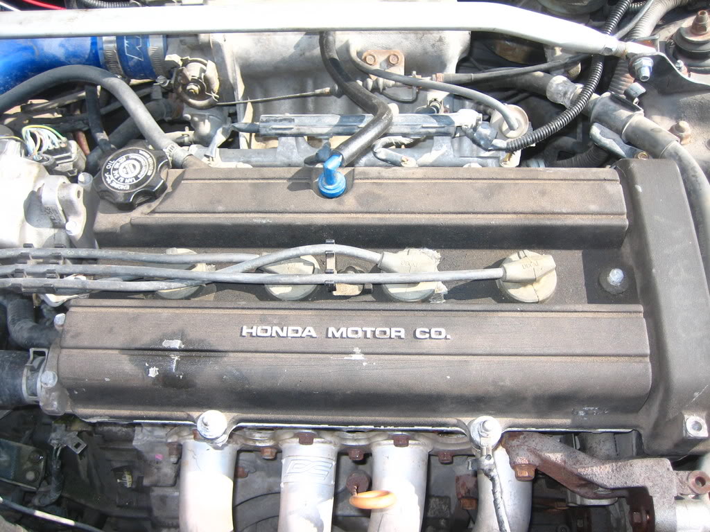 Name:  IMG_3864.jpg
Views: 27
Size:  171.2 KB