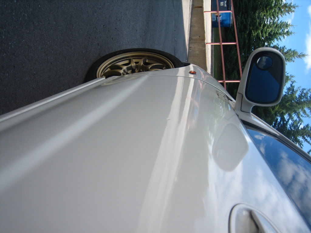 Name:  IMG_3879.jpg
Views: 27
Size:  84.5 KB