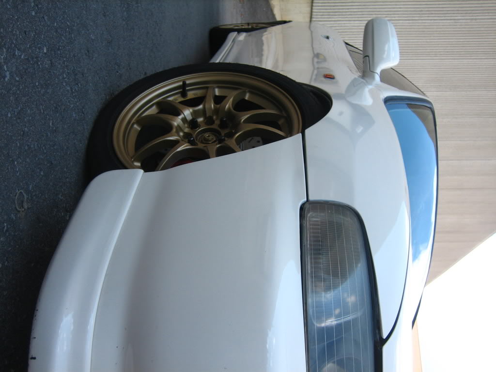 Name:  IMG_3881.jpg
Views: 21
Size:  79.8 KB