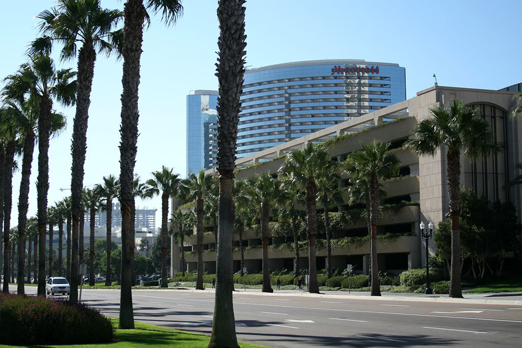 Name:  IMG_2061copy.jpg
Views: 13
Size:  177.8 KB