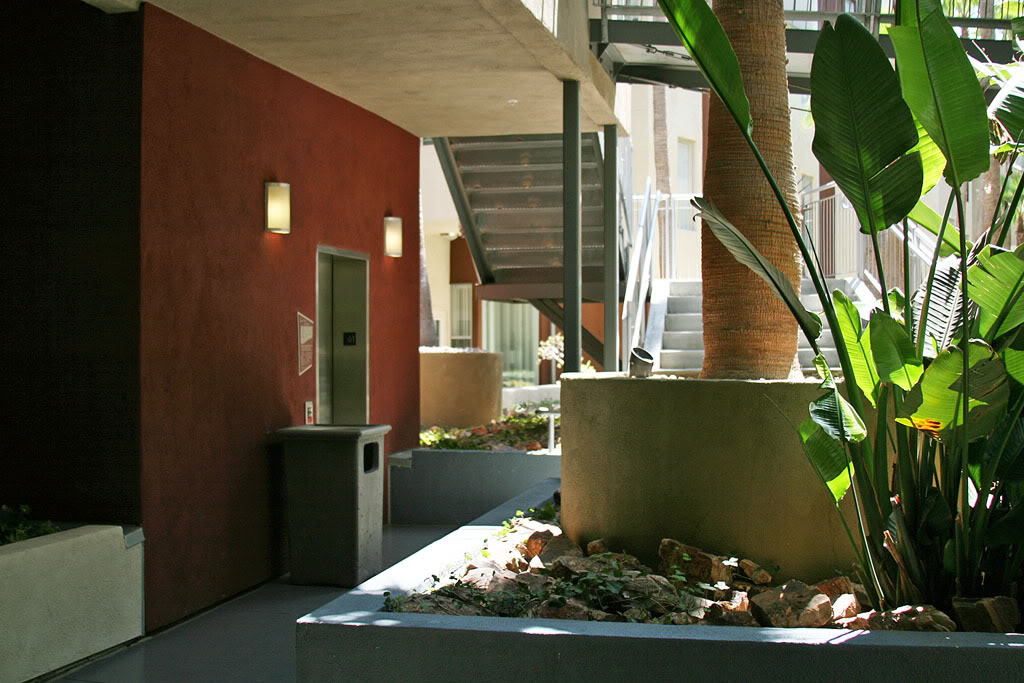 Name:  IMG_2047copy.jpg
Views: 9
Size:  138.9 KB