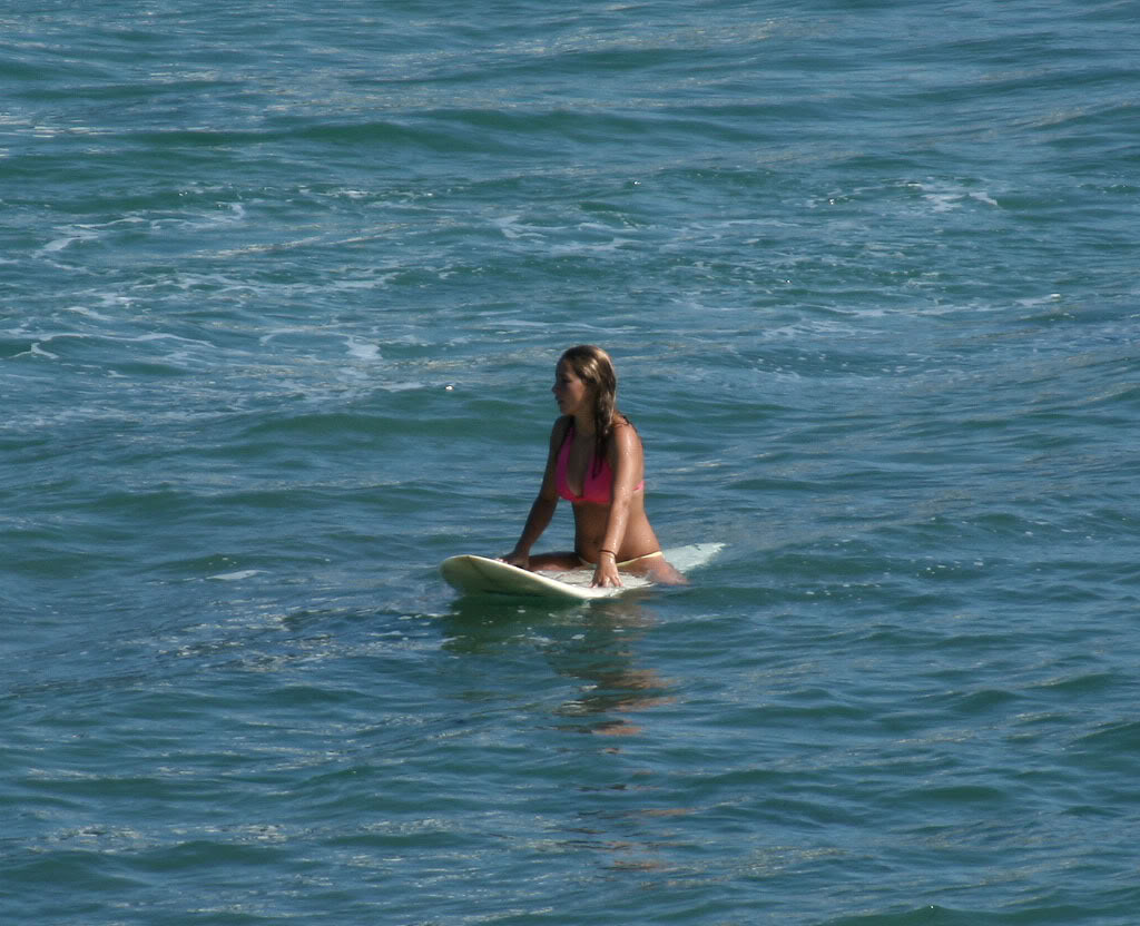 Name:  IMG_2183copy.jpg
Views: 8
Size:  141.8 KB