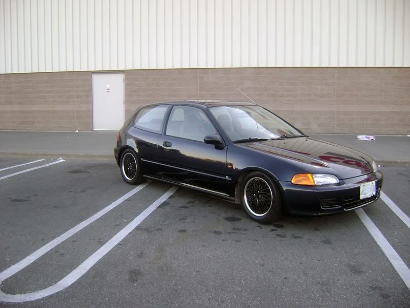 Name:  DSC00890.jpg
Views: 24
Size:  68.5 KB