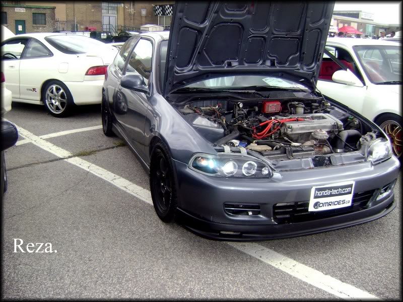 Name:  DSC00773.jpg
Views: 23
Size:  122.7 KB