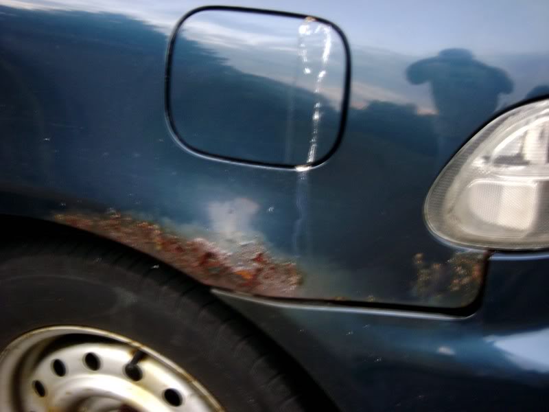 Name:  DSC00454-1.jpg
Views: 27
Size:  42.1 KB