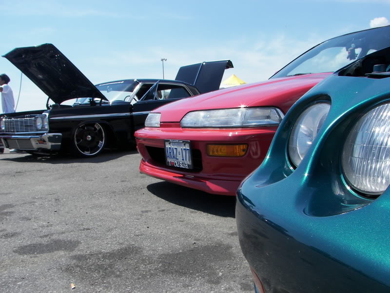 Name:  CSCS081207021.jpg
Views: 15
Size:  97.1 KB