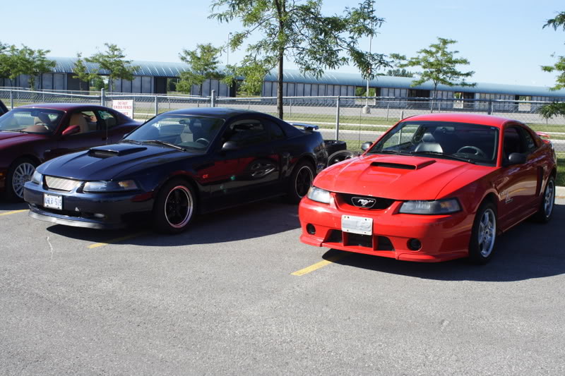 Name:  IMG_5301.jpg
Views: 14
Size:  106.8 KB