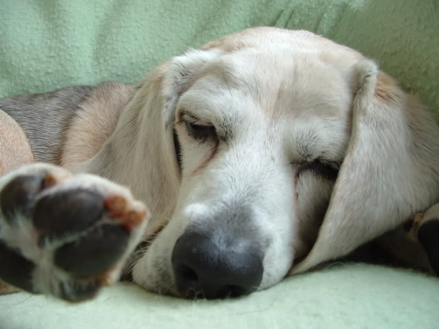 Name:  DSCF0354.jpg
Views: 12
Size:  45.9 KB