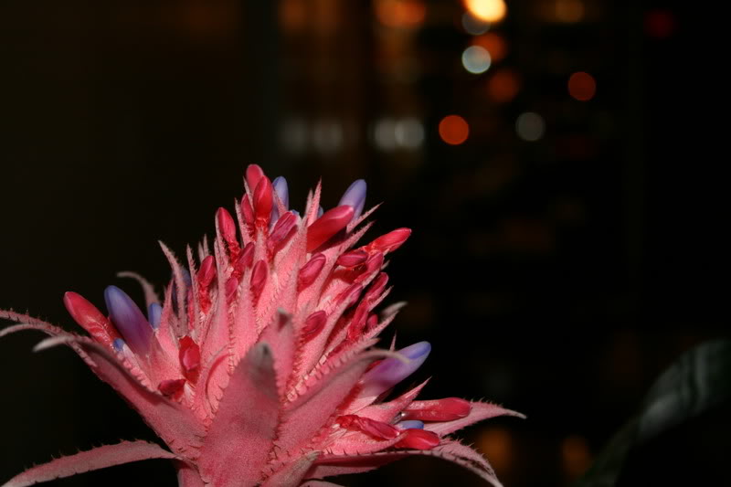 Name:  Picture116.jpg
Views: 16
Size:  47.4 KB