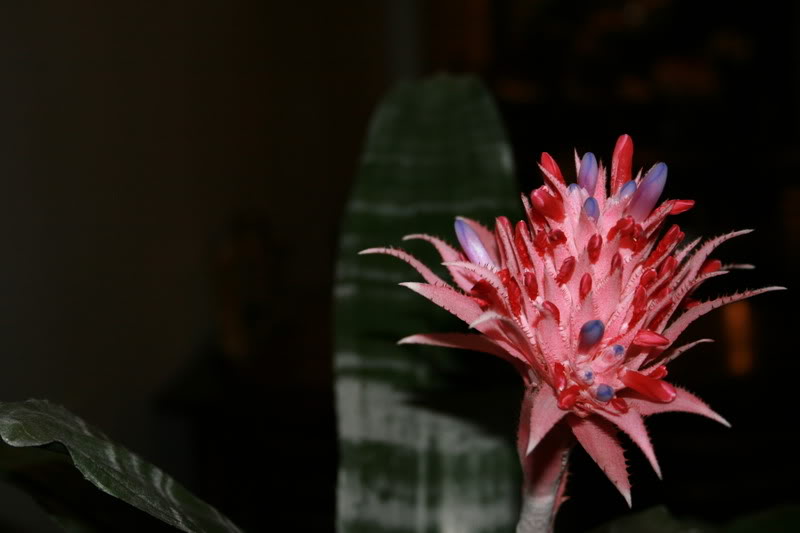 Name:  Picture120.jpg
Views: 16
Size:  42.8 KB