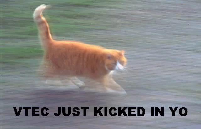 Name:  vtac.jpg
Views: 18
Size:  26.9 KB